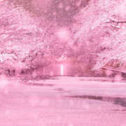 ヒメ日記 2026/02/10 07:33 投稿 かれん アドミsince2002立川デリヘル&Go To FANTASY東京本店