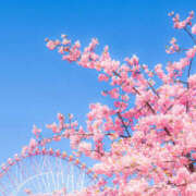 ヒメ日記 2026/03/03 12:05 投稿 かれん アドミsince2002立川デリヘル&Go To FANTASY東京本店