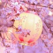 ヒメ日記 2026/03/04 12:03 投稿 かれん アドミsince2002立川デリヘル&Go To FANTASY東京本店