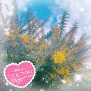 ヒメ日記 2026/03/07 06:03 投稿 かれん アドミsince2002立川デリヘル&Go To FANTASY東京本店