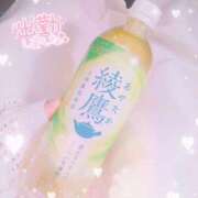 ヒメ日記 2026/03/17 18:29 投稿 かれん アドミsince2002立川デリヘル&Go To FANTASY東京本店