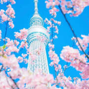 ヒメ日記 2026/03/31 07:15 投稿 かれん アドミsince2002立川デリヘル&Go To FANTASY東京本店