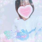 ヒメ日記 2026/04/01 18:31 投稿 かれん アドミsince2002立川デリヘル&Go To FANTASY東京本店