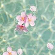 ヒメ日記 2026/04/11 11:05 投稿 かれん アドミsince2002立川デリヘル&Go To FANTASY東京本店