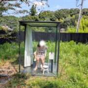 ヒメ日記 2025/08/26 08:08 投稿 岡村　なみ 未熟な人妻