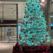 ヒメ日記 2025/11/13 09:18 投稿 岡村　なみ 未熟な人妻