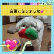 ヒメ日記 2025/05/04 16:51 投稿 島 熟女の風俗最終章 横浜本店