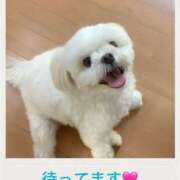 ヒメ日記 2025/08/15 00:57 投稿 島 熟女の風俗最終章 横浜本店