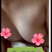 島 毎日 熟女の風俗最終章 横浜本店