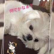 ヒメ日記 2025/12/20 02:08 投稿 島 熟女の風俗最終章 横浜本店