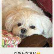 島 ごめんなさい 熟女の風俗最終章 横浜本店