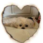 島 変更 熟女の風俗最終章 横浜本店