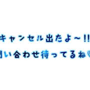 ヒメ日記 2023/12/11 12:10 投稿 赤井‐あかい‐ ミセスまーと