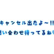 ヒメ日記 2025/06/22 09:41 投稿 赤井‐あかい‐ ミセスまーと