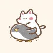 ヒメ日記 2024/12/14 04:45 投稿 SECRET-C ZERO