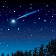 ヒメ日記 2024/12/14 23:22 投稿 SECRET-C ZERO