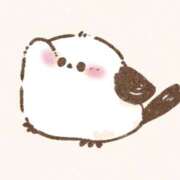 ヒメ日記 2024/12/29 05:49 投稿 SECRET-C ZERO