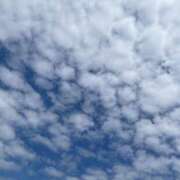 ヒメ日記 2025/03/14 14:46 投稿 SECRET-C ZERO