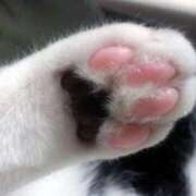 ヒメ日記 2025/04/29 21:44 投稿 SECRET-C ZERO