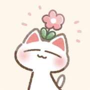 ヒメ日記 2025/04/30 04:32 投稿 SECRET-C ZERO