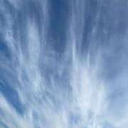 ヒメ日記 2025/05/14 17:26 投稿 SECRET-C ZERO