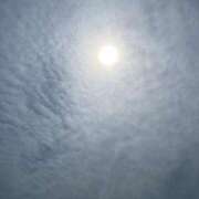 ヒメ日記 2025/05/23 13:34 投稿 SECRET-C ZERO