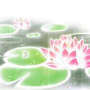 ヒメ日記 2025/07/14 11:56 投稿 SECRET-C ZERO