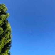 ヒメ日記 2025/10/30 13:48 投稿 SECRET-C ZERO