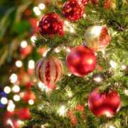 ヒメ日記 2025/12/01 23:52 投稿 SECRET-C ZERO