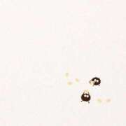 ヒメ日記 2026/02/04 12:00 投稿 SECRET-C ZERO