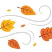 ヒメ日記 2026/02/26 12:20 投稿 SECRET-C ZERO