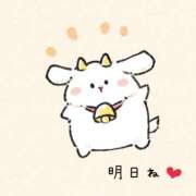 ヒメ日記 2026/03/04 22:49 投稿 SECRET-C ZERO