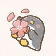 ヒメ日記 2026/03/30 10:09 投稿 SECRET-C ZERO