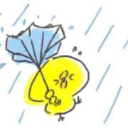 ヒメ日記 2026/04/10 20:00 投稿 SECRET-C ZERO