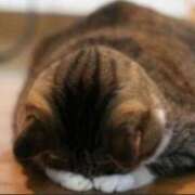 ヒメ日記 2026/04/16 23:25 投稿 SECRET-C ZERO