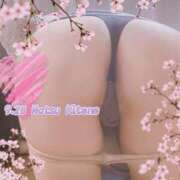 ヒメ日記 2025/12/05 19:46 投稿 二階堂　なつ 奥様宅配便　神栖支店