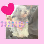 ヒメ日記 2025/04/19 19:39 投稿 みち ○コキクリニック～○○クリニックシリーズ～