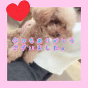 ヒメ日記 2025/05/18 20:02 投稿 みち ○コキクリニック～○○クリニックシリーズ～