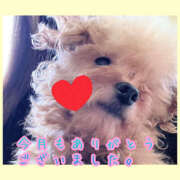 ヒメ日記 2025/09/30 20:21 投稿 みち ○コキクリニック～○○クリニックシリーズ～