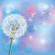 ヒメ日記 2026/03/26 10:36 投稿 ななせ 絶対服従！闇鍋会 錦糸町店