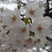 ヒメ日記 2026/04/02 10:41 投稿 ななせ 絶対服従！闇鍋会 錦糸町店