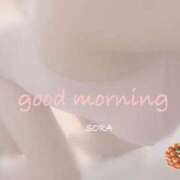 ヒメ日記 2024/12/17 09:03 投稿 空(そら) 相模原人妻城