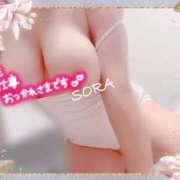 ヒメ日記 2024/12/27 15:48 投稿 空(そら) 相模原人妻城