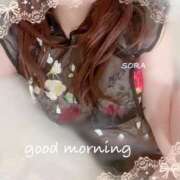 ヒメ日記 2025/01/16 07:09 投稿 空(そら) 相模原人妻城