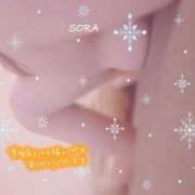 ヒメ日記 2025/01/20 16:33 投稿 空(そら) 相模原人妻城