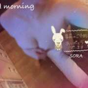 ヒメ日記 2025/02/23 08:33 投稿 空(そら) 相模原人妻城