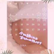 ヒメ日記 2025/02/27 14:12 投稿 空(そら) 相模原人妻城