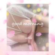 ヒメ日記 2025/03/27 08:48 投稿 空(そら) 相模原人妻城