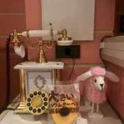 ヒメ日記 2025/03/30 17:48 投稿 空(そら) 相模原人妻城