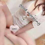 ヒメ日記 2025/04/07 10:03 投稿 空(そら) 相模原人妻城